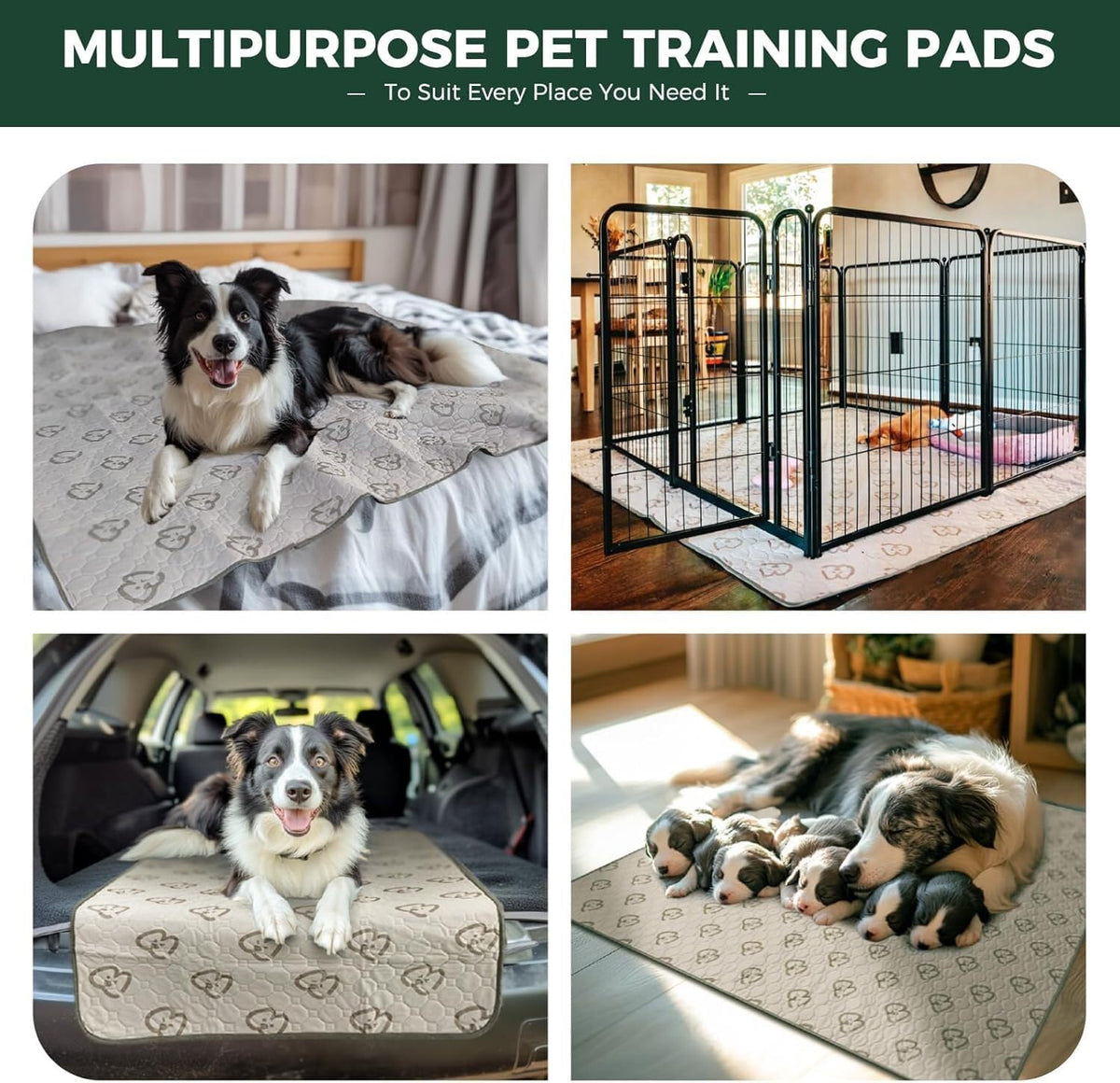FXW Washable Pee Pads for Dogs, Super Absorbent - 47" Round / 1 Pack - image 4