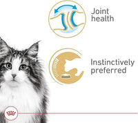 Royal Canin Feline Health Nutrition Aging 12+ Thin Slices In Gravy Canned Cat Food, 3 oz Can (24-count)