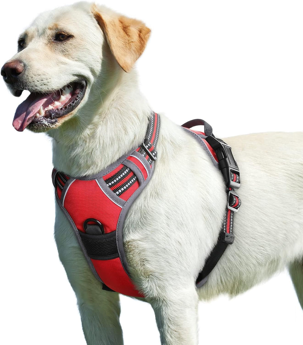Eagloo Dog Harness for Large Dogs - Large / Red