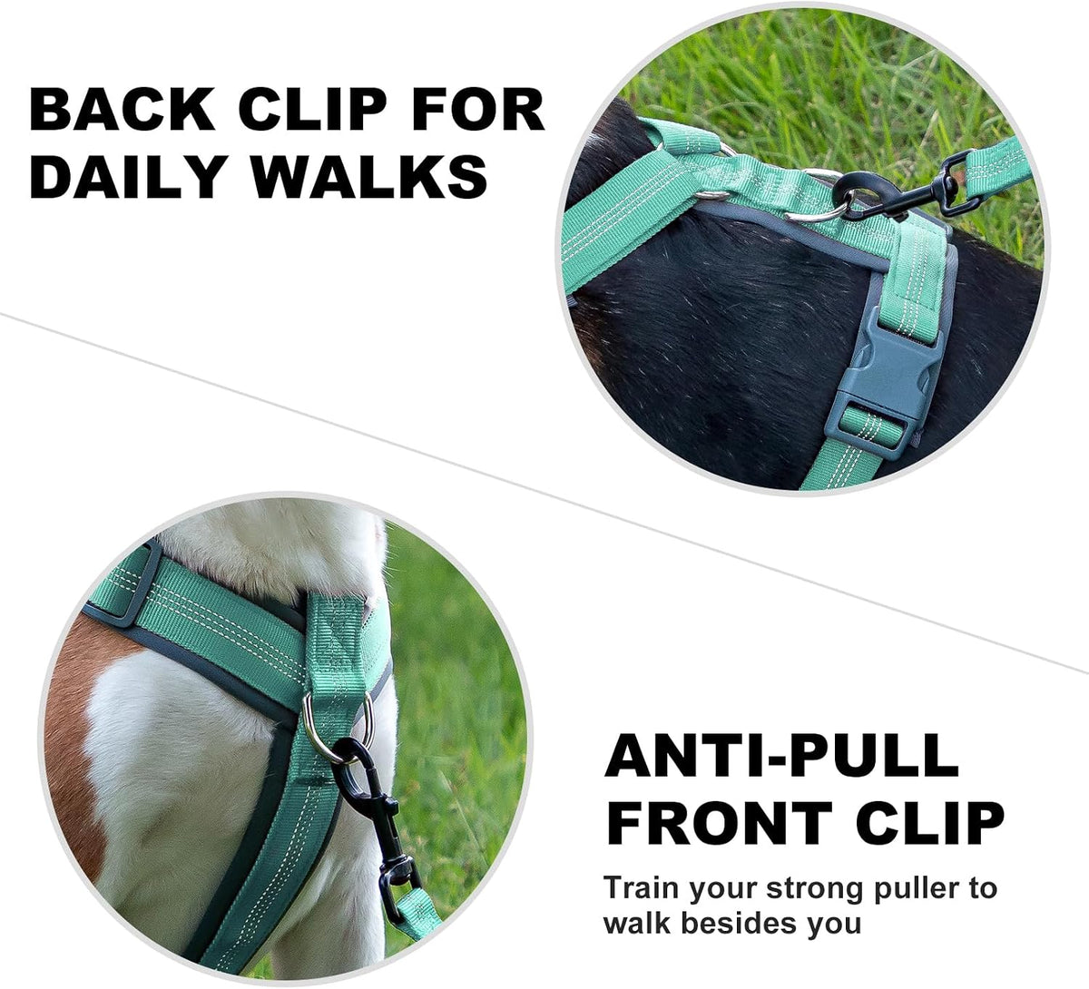 Plutus Pet No Pull Dog Harness - XL / Teal - image 4