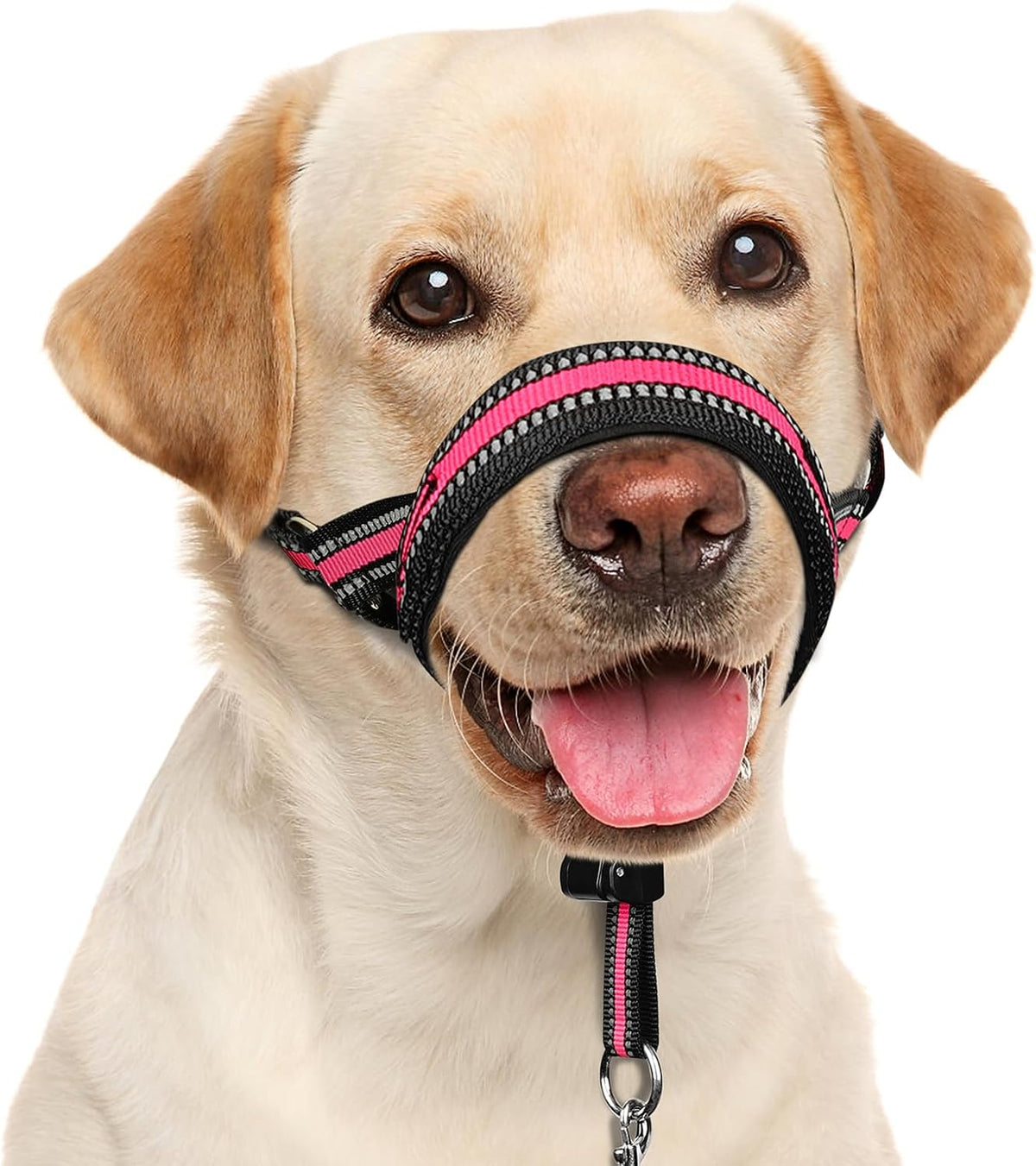 Soft Dog Head Collar, Patented Padded No Pull Training Head Halter – Essentials for Dogs - Pink / XL (Snout 12"-17.5")
