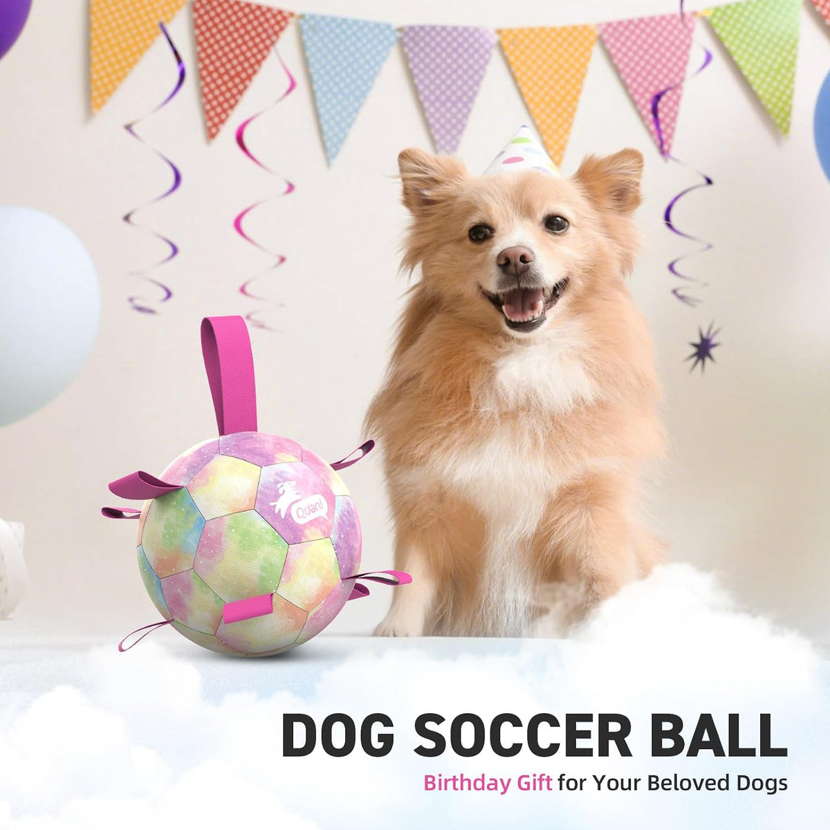 QDAN Dog Soccer Ball Toy with Strap - A-Colorful Pink / Medium Size 2 - image 3