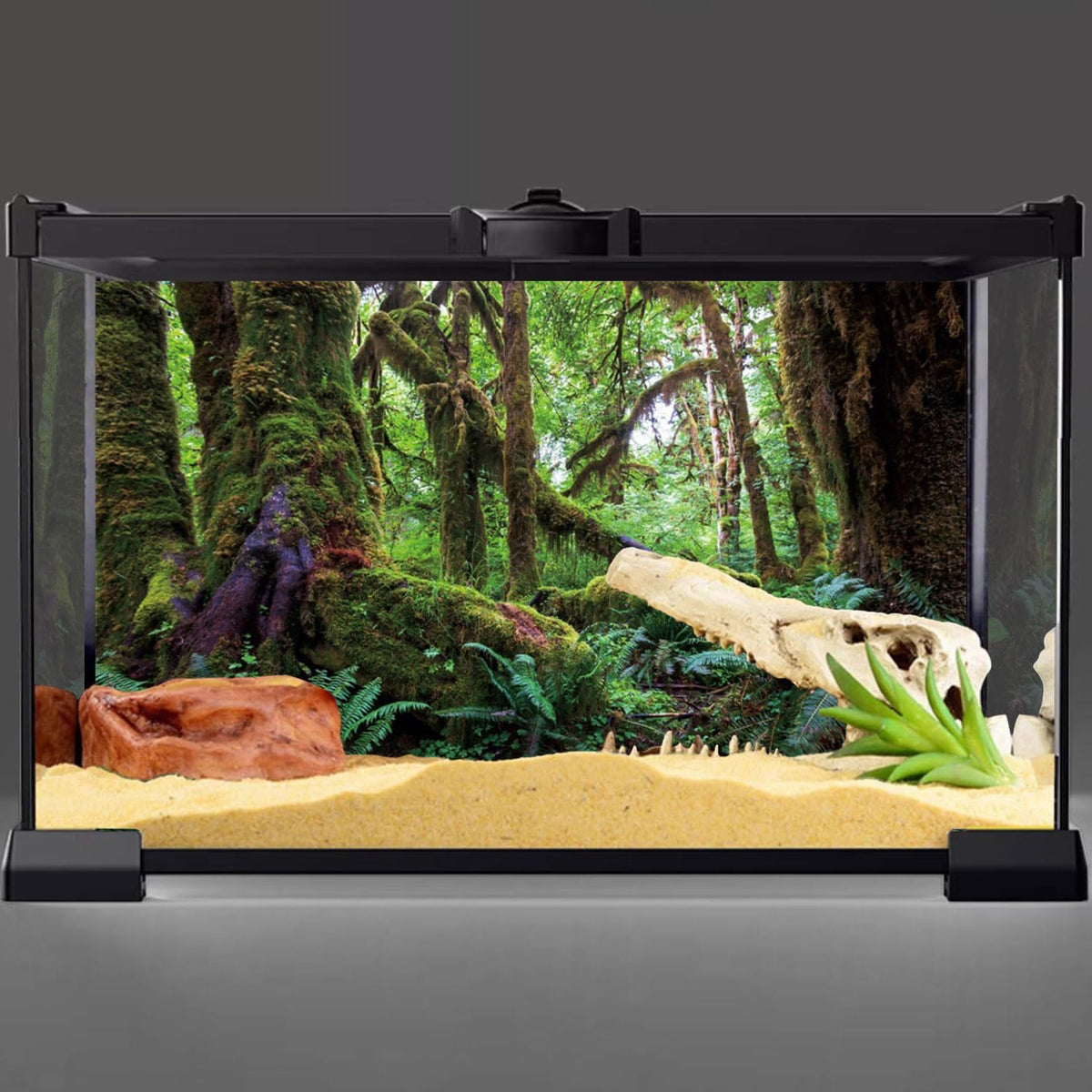 36x18 in Terrarium Backdrop Rainforest Moss Tree Reptile Habitat - 30x18in/75x45cm - image 2