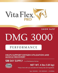 Pro DMG 3000 Horse DMG Concentrate, 4 Pounds, 128-Day Supply