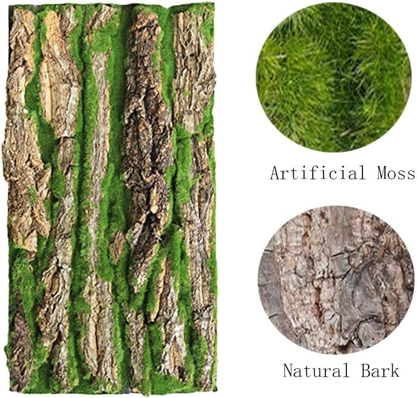 PINVNBY Reptile Terrarium Cork Background - 【Natural Cork Bark+Artificial Moss】 / 【2 PCS】 - image 3