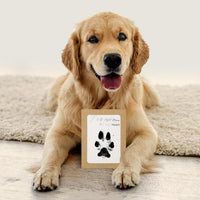 Inkless Paw Print Kit, Dog Paw Print Kit, Dog Nose Print Kit - Black / Medium-Large 2 Pack - image 3