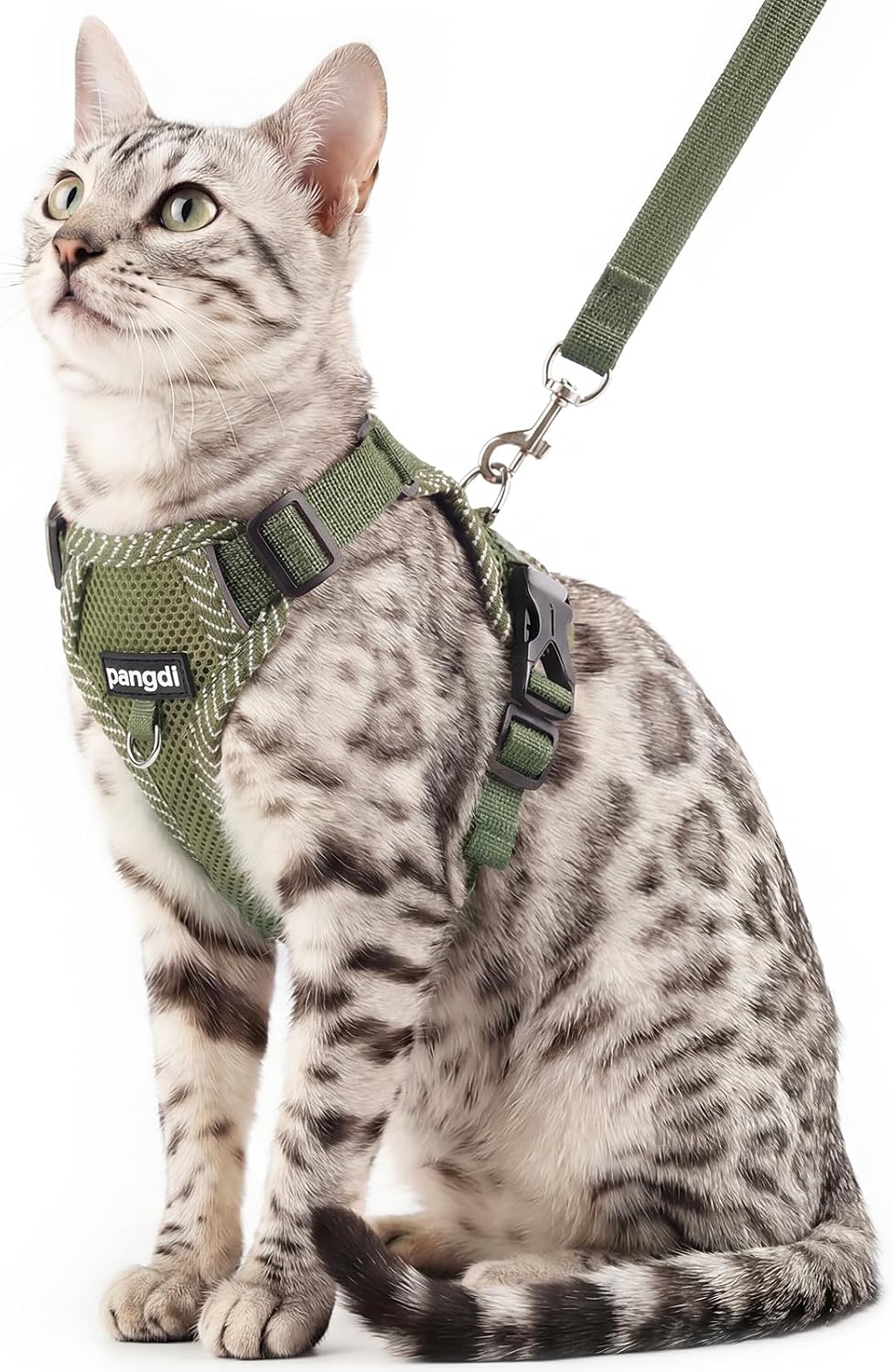 Cat Harness and Leash Set, Soft Mesh Cat Vest, XL - Dark Green / Large