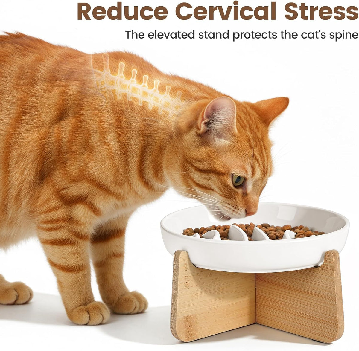 PETTOM Slow Feeder Cat Bowl Elevated Ceramic with Bamboo Stand - Fishbone - image 3