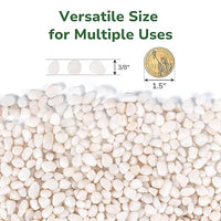 GreatBuddy 2.5-lb Decorative Rocks for Indoor Plants, 3/8" White Pebbles, Small Rocks for Potted Plants, Succulent, Vases, Aquariums, Fish Tanks, Garden Landscaping, Natural Polished