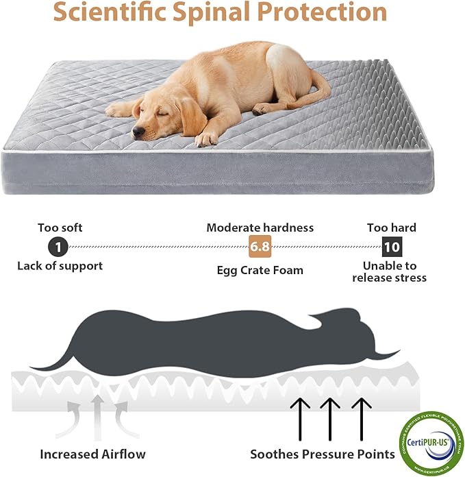 WNPETHOME Orthopedic Big Dog Beds Large Sized Dog, Waterproof Extra Large Dogs Bed with Removable Washable Cover, Multi-Needle Quilting Dogs Crate Bed
