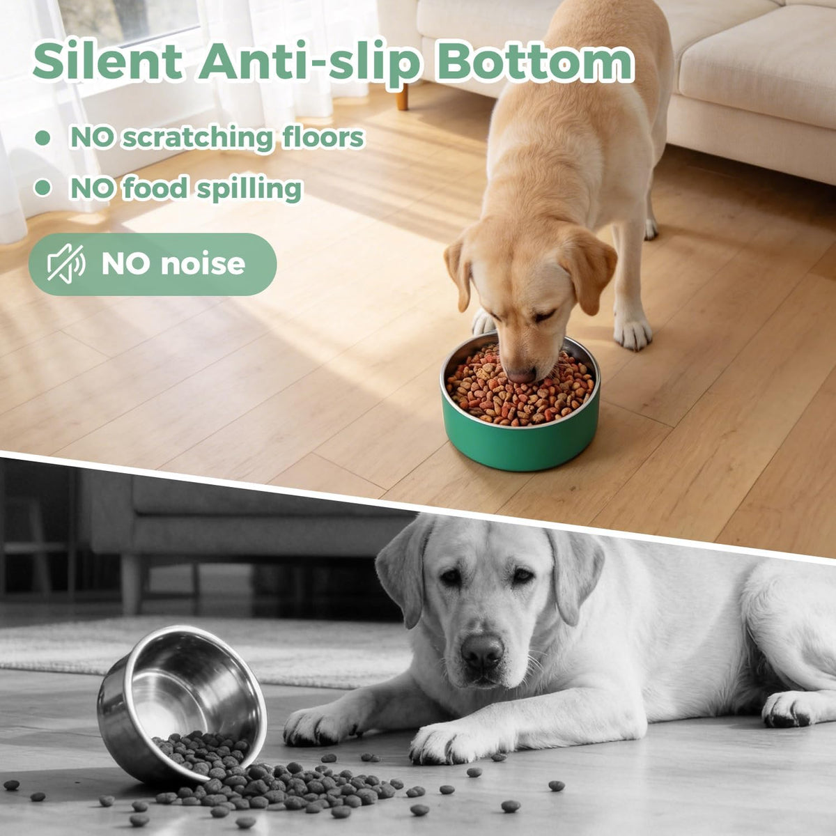 Dog Bowl, Stainless Stee Dog Water Bowl and Food Bowl - 40oz / Deep Green - image 4