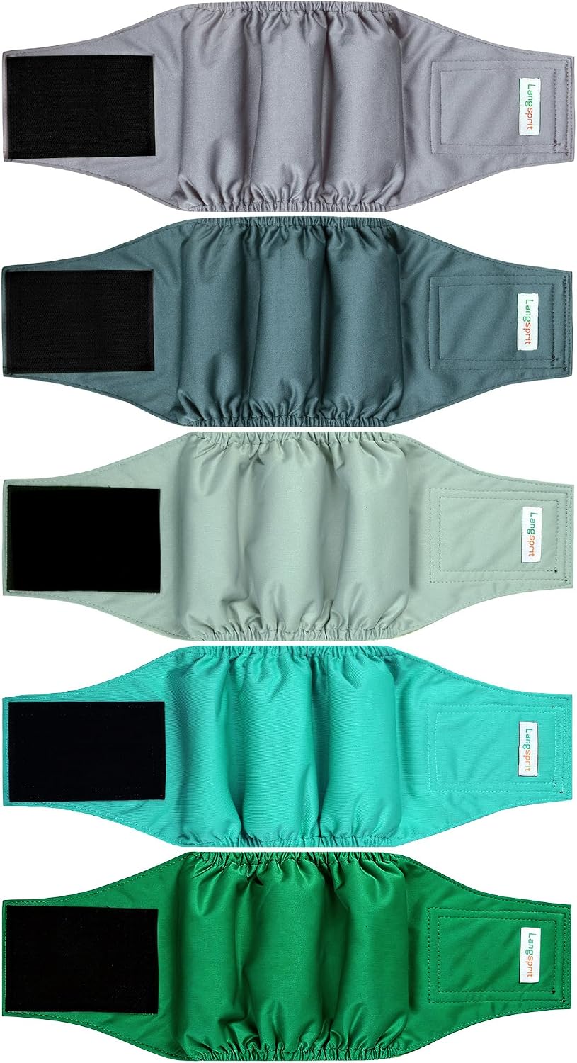 Langsprit Small Male Dog Diapers for Doggie Puppy - Green Grey / Large / 5