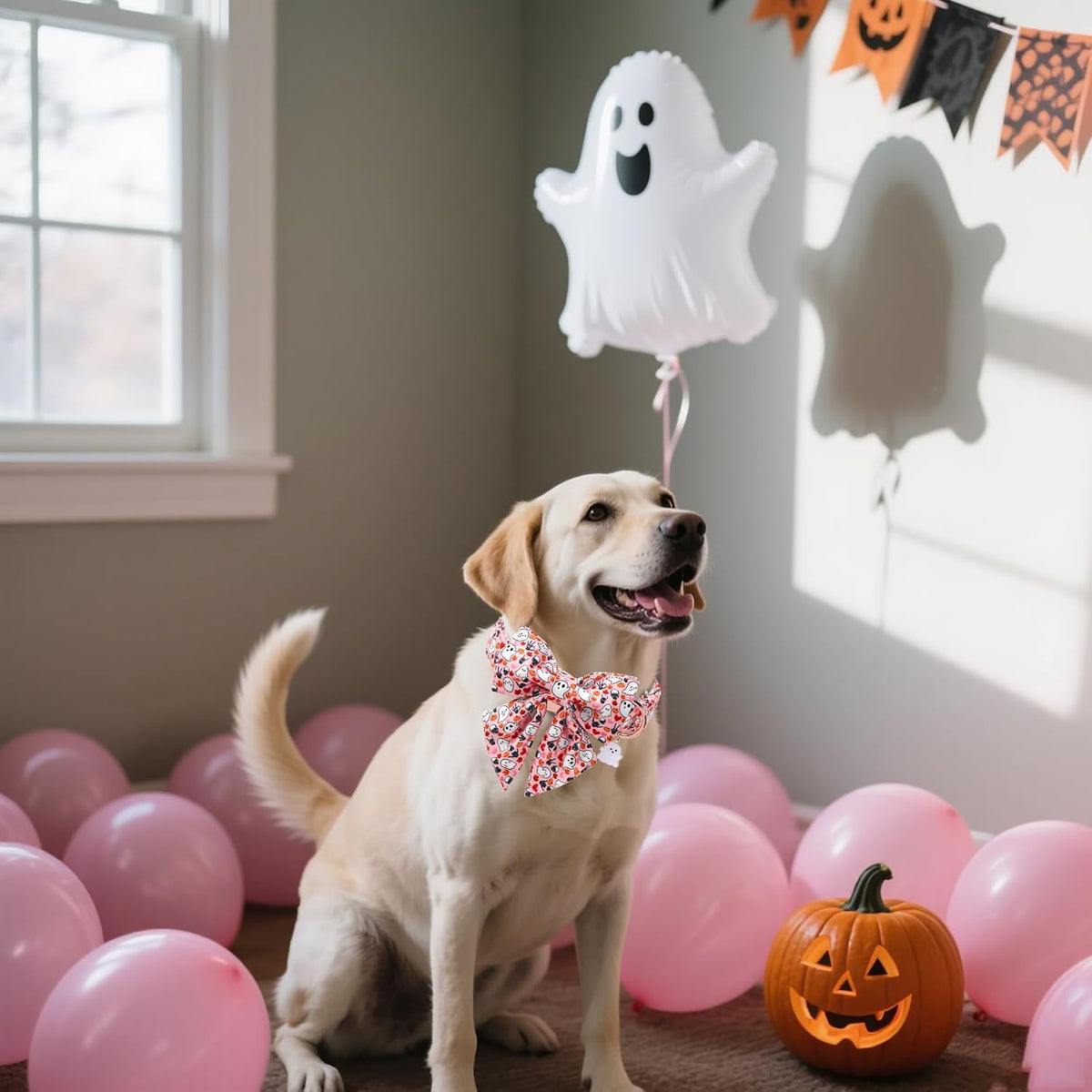 DOGWONG Fall Pumpkin Orange Plaid Dog Collar - ghost Pumpkin / L - image 4