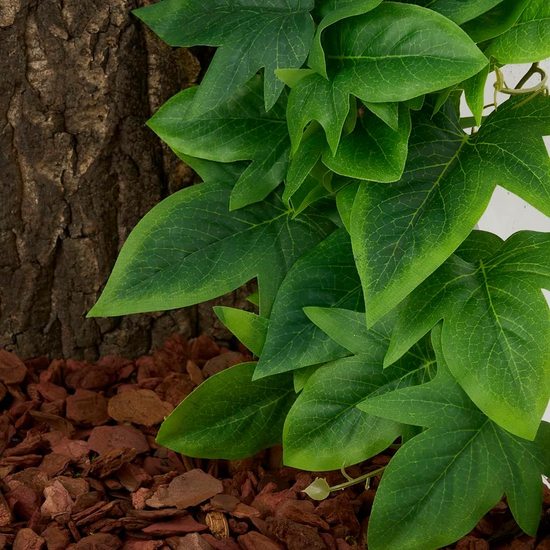 Fake Calathea Orbifolia, Reptile Terrarium Suction Plants – Essentials for Fish - Fake Sweet Potato Vine - image 3