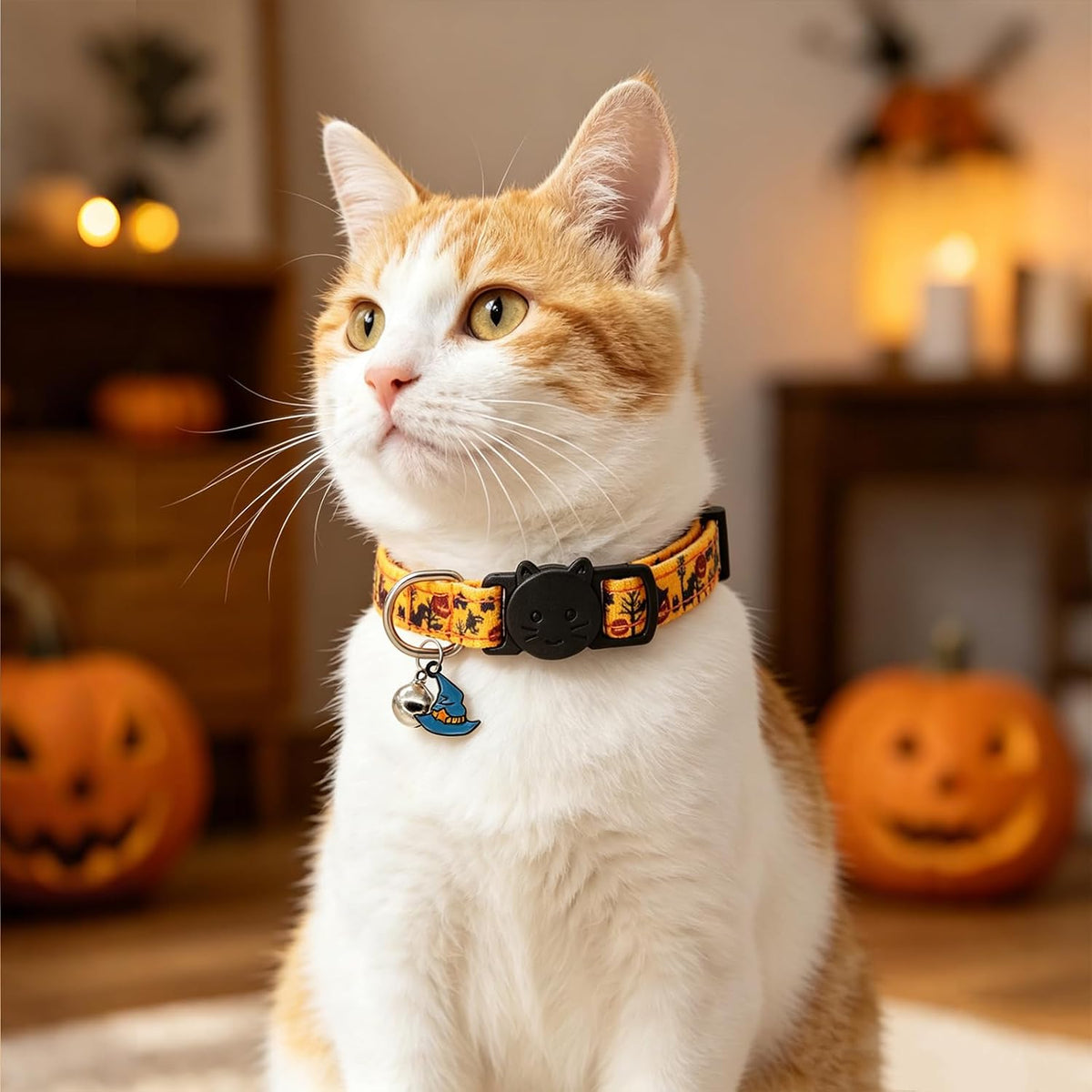 Halloween Cat Collar, Cotton 2 Pack Cat Collar with Bells - Halloween Black / 7-11'' - image 2
