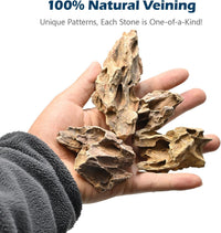Natural Rocks Seiryu Stone 1-2.5 Inches Decorative Stones for Fairy - Dragon Stone / 2lb(1-2.5Inch) - image 2