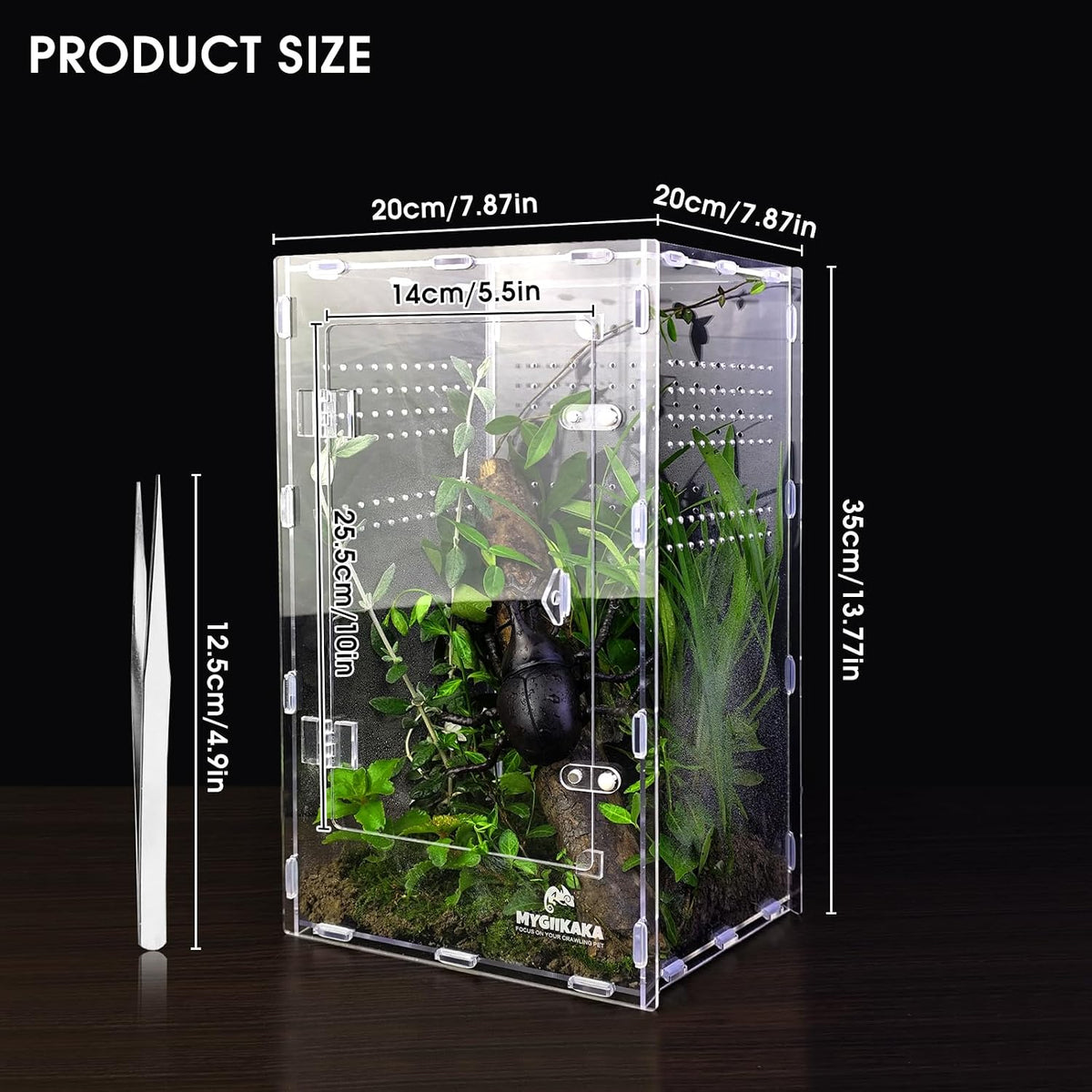 Acrylic Jumping Spider Enclosure, Insect Terrarium for Spiders - Large - image 2