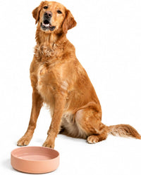 The Perfect Dish, Silicone Dog Bowl for Food & Water - Blush / Large (9.5” Across and 2.5” Tall)