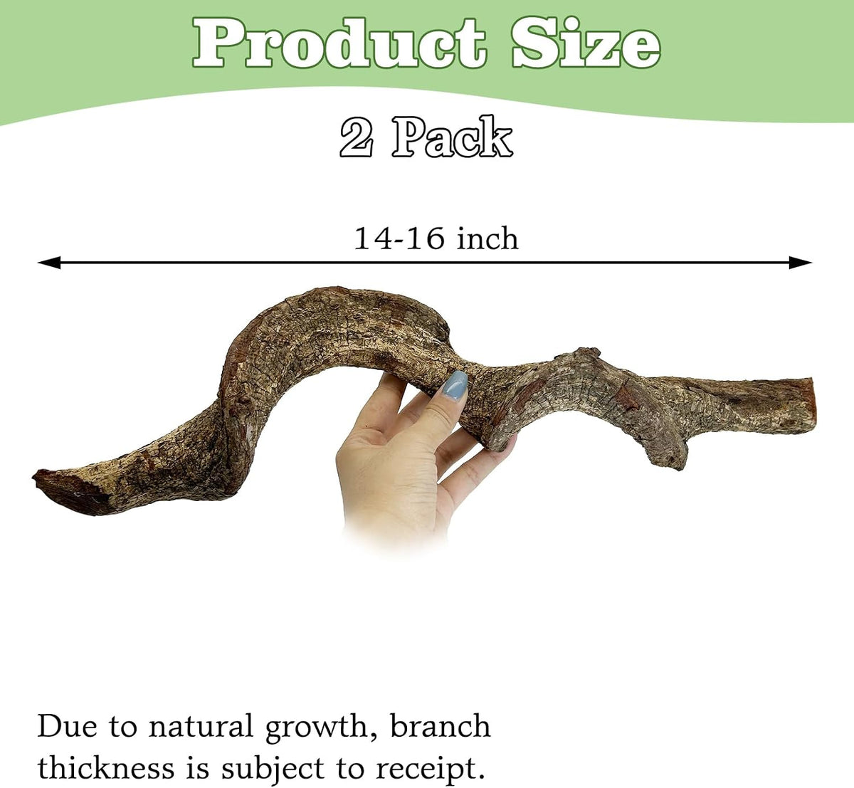Reptile Climbing Decor 1.8-2.2" Thick Wood Branches Snake Habitat - 14-16 inches - image 2