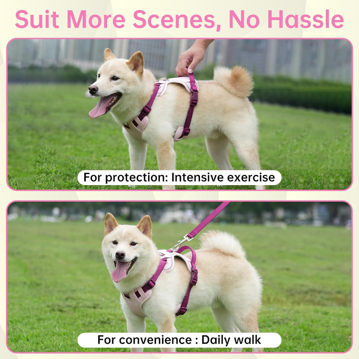 Dog Harness and Leash Set with Collar - Pink / L(Neck:22.0-29.1",Chest:26.8-34.6") - image 3