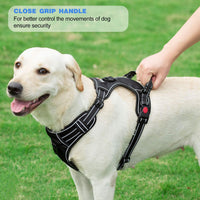 tobeDRI No Pull Dog Harness Adjustable Reflective Oxford Easy Control - Pink/Blue / Medium - image 4