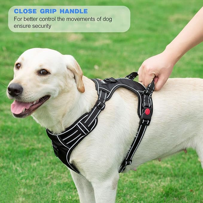 No Pull Dog Harness Adjustable Reflective Oxford Easy Control Medium Large Dog Harness with A Free Heavy Duty 5ft Dog Leash (L (Chest: 25.5"-31"), Purple Harness+Leash)