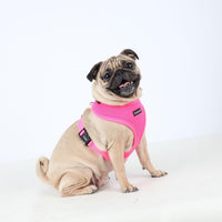 Puppia Soft Harness A - M Over-The-Head Soft Mesh Harness Neon Pink – Essentials for Dogs - Medium / GREEN - image 4