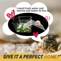 2 Packs Hermit Crab Pool, Ideal Hermit Crab Tank Combination - Small*2 - image 4