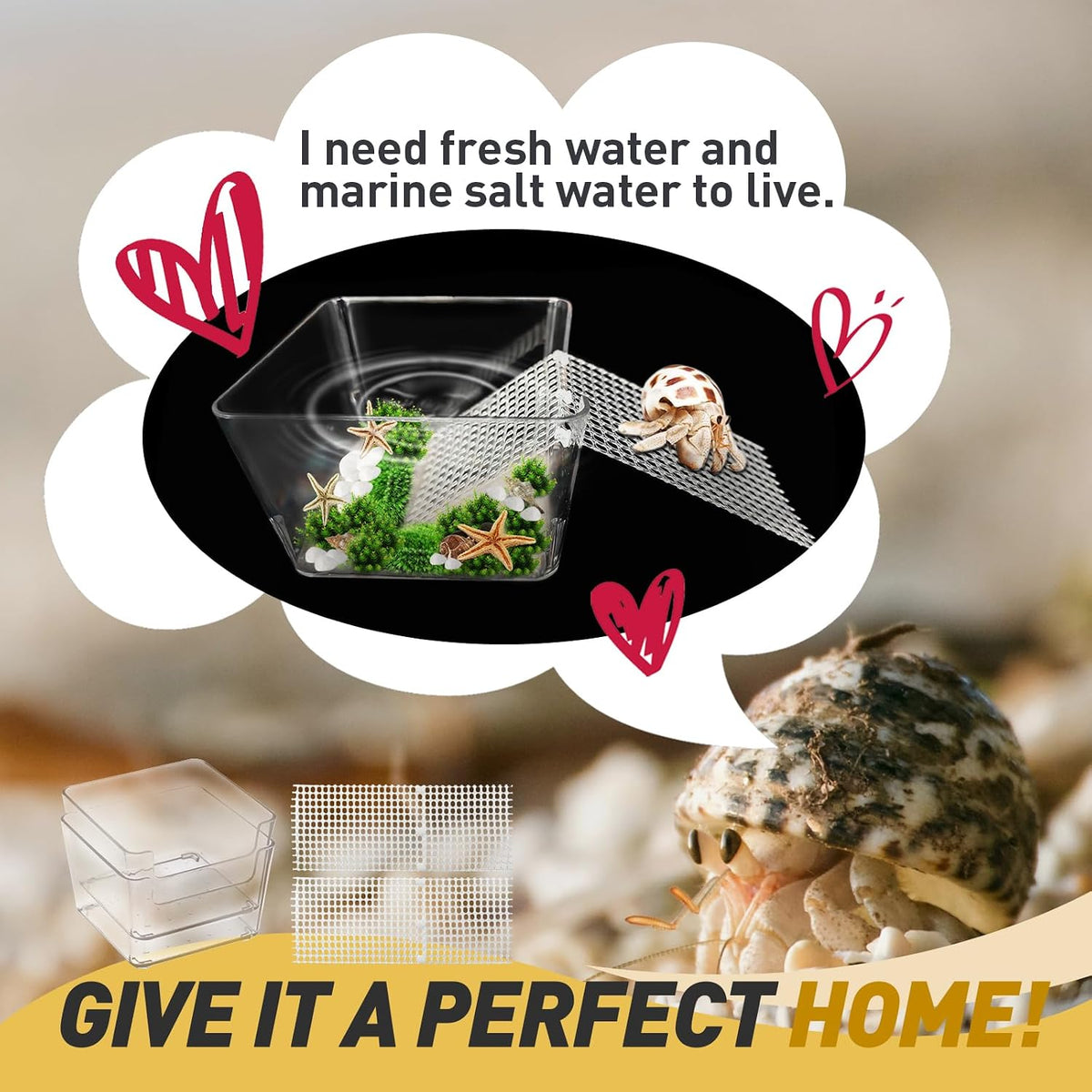2 Packs Hermit Crab Pool, Ideal Hermit Crab Tank Combination - Small*2 - image 4