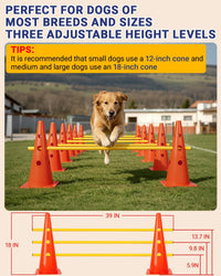 Dog Agility Course Backyard Set - 18 IN / Orange - image 2