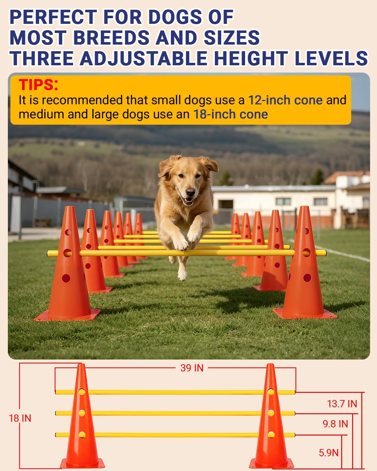Dog Agility Course Backyard Set - 18 IN / Orange - image 2