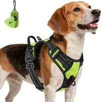 Joytale No Pull Dog Harness Medium Sized Dog, Front Clip - Medium / Green