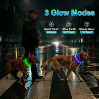 2 Packs Light Up Dog Collar - Green+Blue - image 3