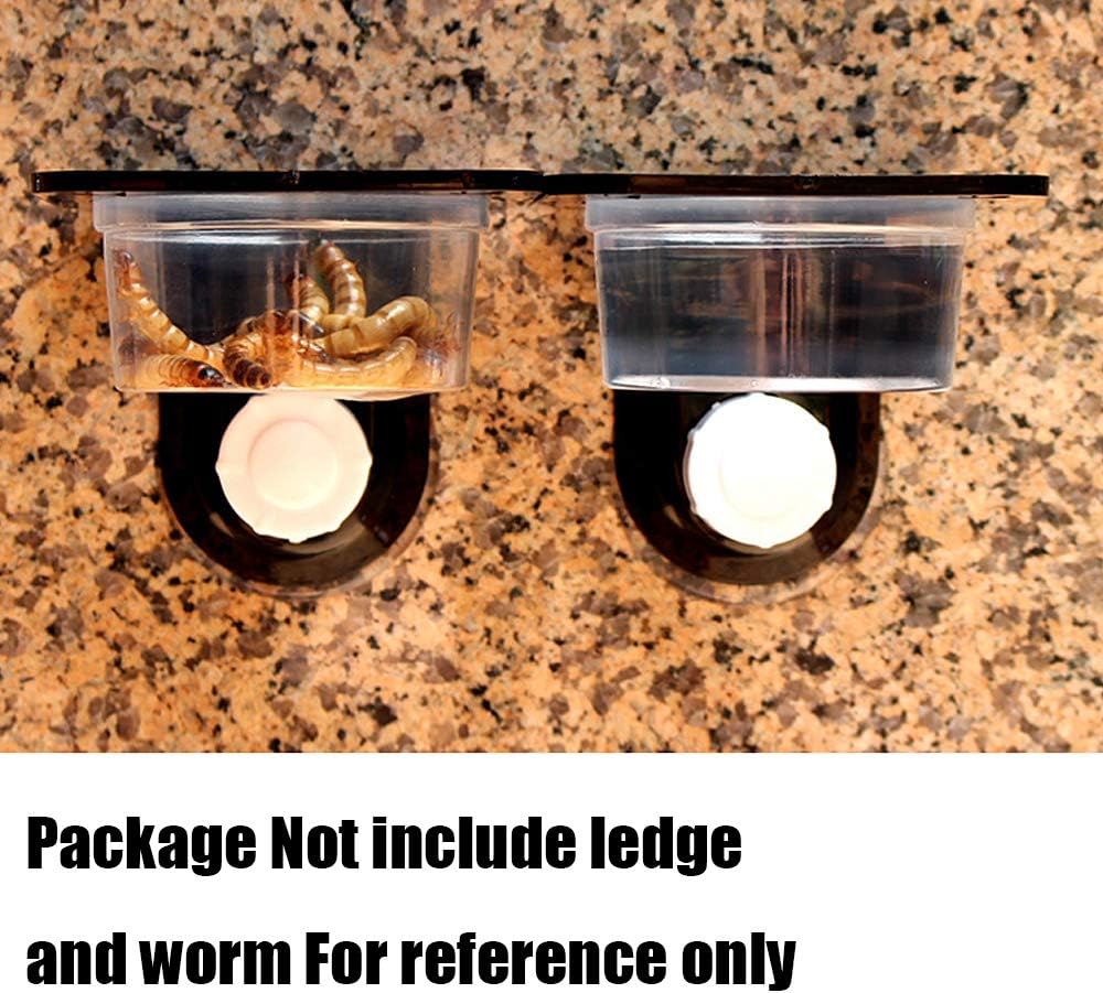 YOGURTCK 100pcs Crested Gecko Feeding Cups Reptile Feeder Bowls - image 2