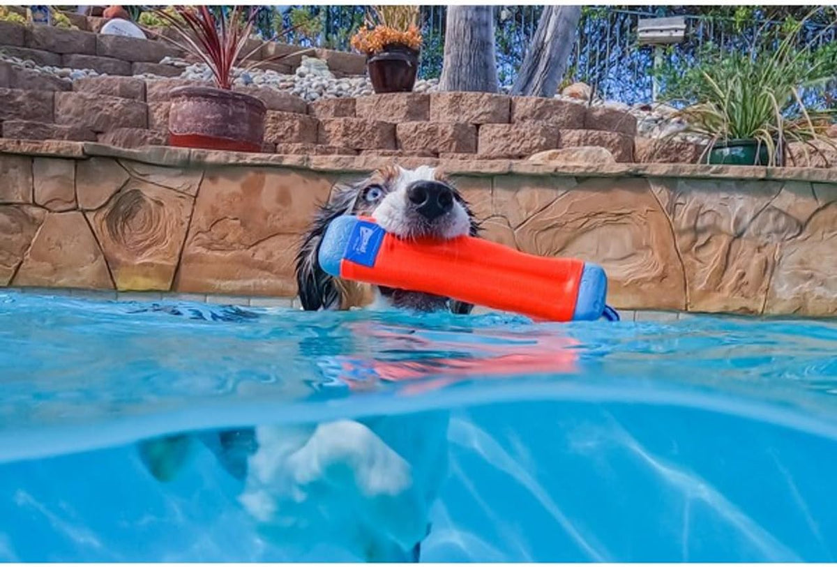 Chuckit! Amphibious Bumper Dog Fetch Toy, Floats, for Water Play - Medium / 1 - image 2
