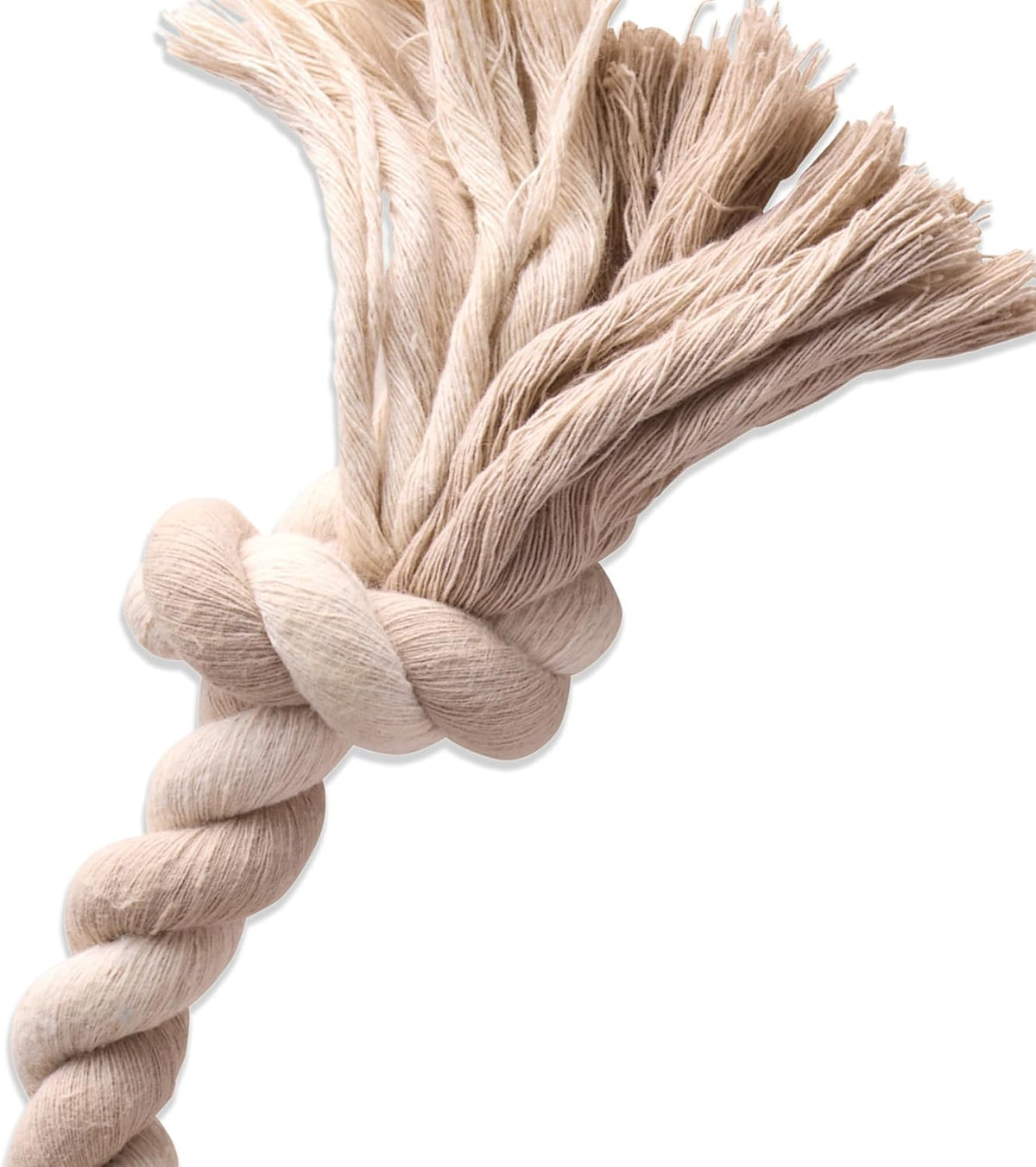 Pet Passion Natural Rubber Tire and Organic Cotton Rope Pull and Chew - Almond Milk / Small - image 2