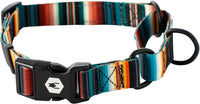 Wolfgang Heavy Duty Martingale Dog Collar with Quick Release Nylon - LostArt Print / Medium (1 Inch x 14-18 Inch)
