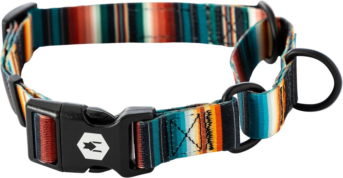 Wolfgang Heavy Duty Martingale Dog Collar with Quick Release Nylon - LostArt Print / Medium (1 Inch x 14-18 Inch)