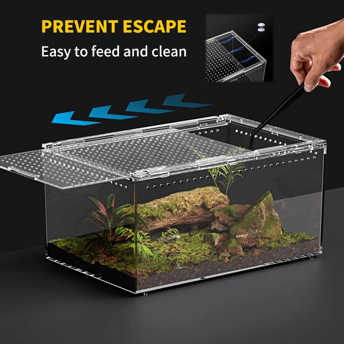 【No Assembly】 Reptile Tank Enclosure with Magnetic Button.16" * 10" * - 12" * 8" * 6" - image 3