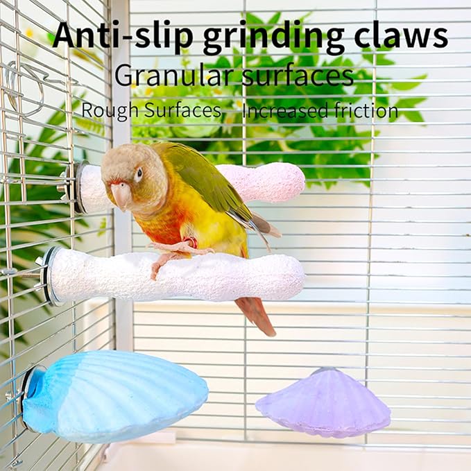 Bird Perches for Cage, Abrasive Surface High Calcium Mineral Parrot Perch Stand - Bird Nail File for Claw & Beak Health, Colorful Ceramic Bird Cage Accessories (Blue, Shell)