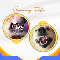 Tough Dog Toys for Aggressive Chewers & Teething Puppies, Bouncy Balls for Medium Dogs, Durable Pet Toys, Floating Dog Balls for Water Play (Orange-Blue-Set)
