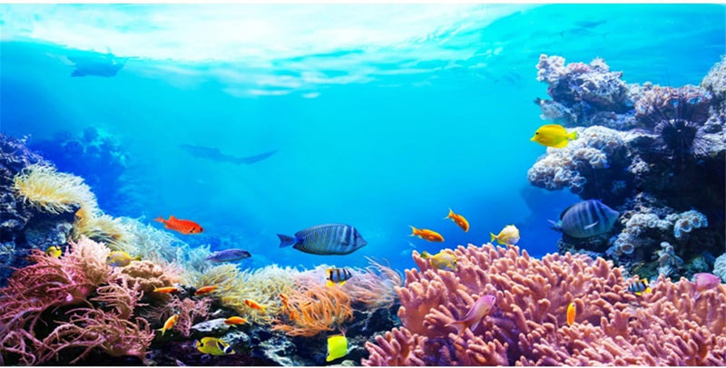 48x24 in Underwater Aquarium Backdrop Colorful Coral Fish Tank - 48x18in/120x45cm