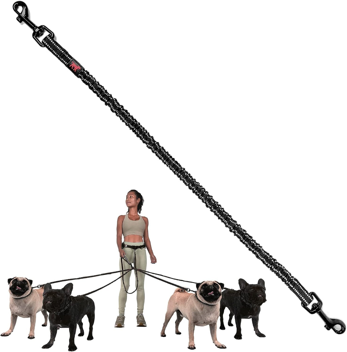 Tuff Pupper Heavy Duty Hands Free Bungee Dog Leash - Xcessory - Small Dog Add-on Bungee