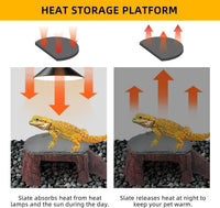 Bearded Dragon Basking Platform - XL: 11×7×3.5 inch | Style-B - image 3