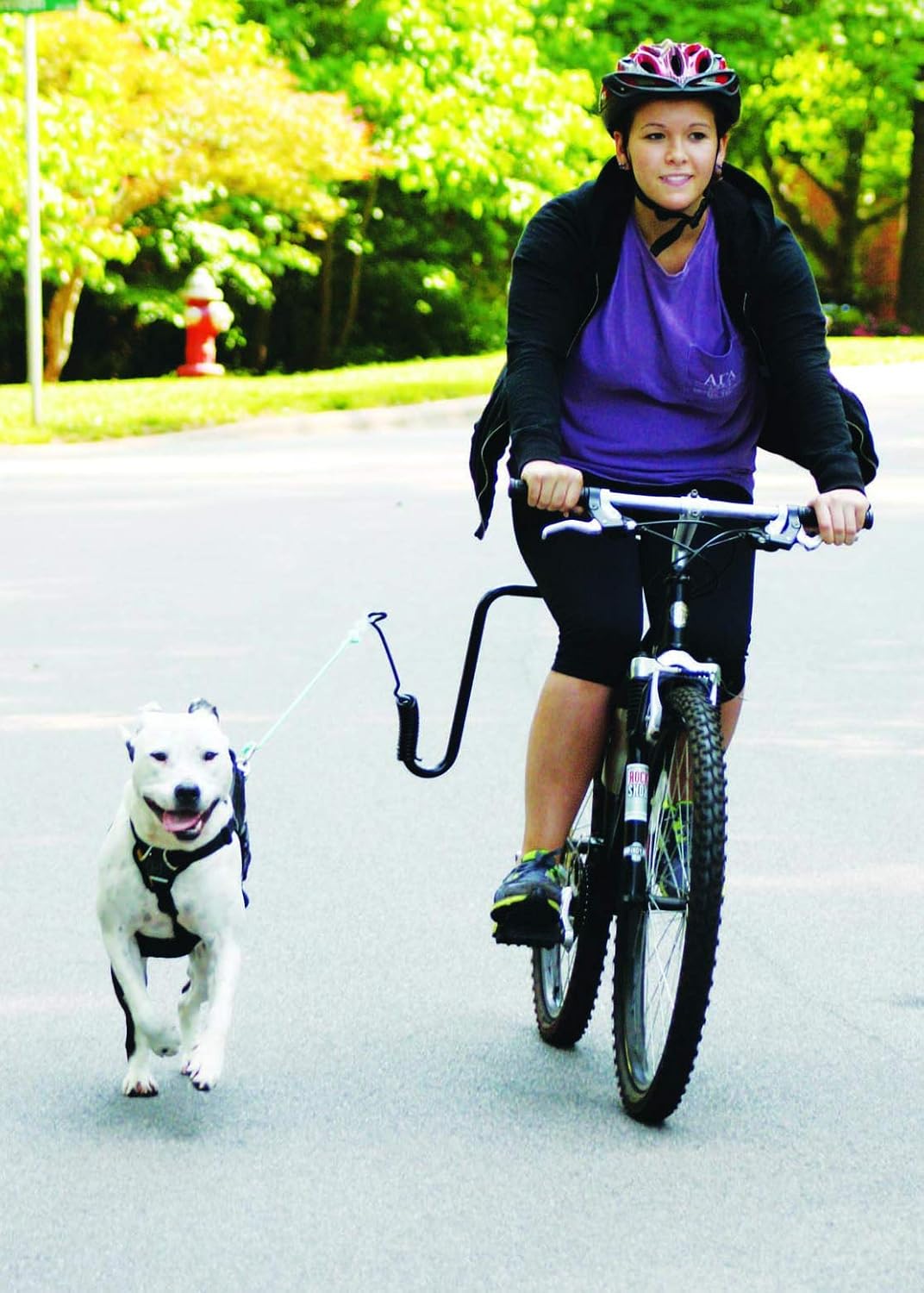 Springer Hands-Free Dog Bike Leash Attachment, Quick Release - image 3