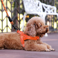 Plutus Pet No Pull Dog Harness with Front Clip - XS: chest 13.8"-17.3" / Orange - image 2