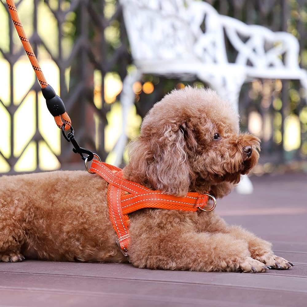 Plutus Pet No Pull Dog Harness with Front Clip - XS: chest 13.8"-17.3" / Orange - image 2