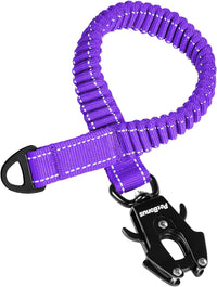 PetBonus Bungee Dog Leash Extension - Purple