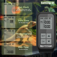 Reptile Thermostat, Light Timer for Temperature and Lighting Control, Day-Night Timer Thermostat - image 4