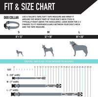 Wolfgang Heavy Duty, Adjustable Dog Collar with Quick Release Nylon Buckle for Walking & Training - Medium (1 Inch x 12-18 Inch) / SunsetPalms Print - image 4